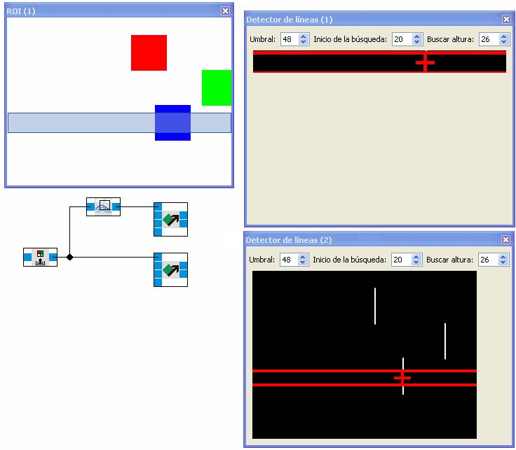 roi_example